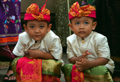 Bali Twins