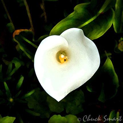 In the Garden #2