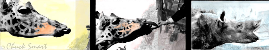 Giraffe