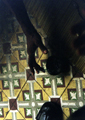 Habana 2 - 2002