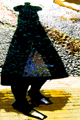 Shadow Life
