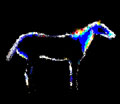 Black Horse in Moonlight